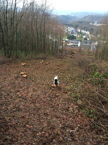 IMG 002341