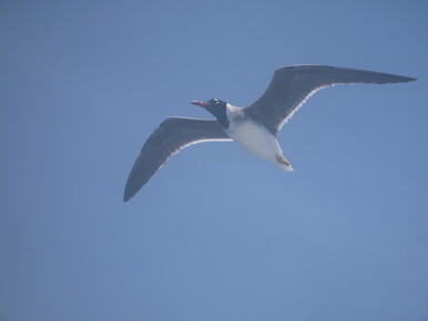 IMG 056562