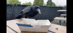 IMG 065043
