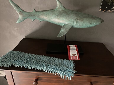 IMG 3790