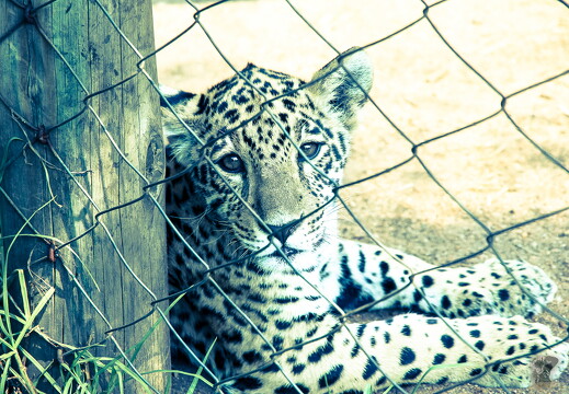 LR-ARCHIVE-240803 08032024-08-24 040664