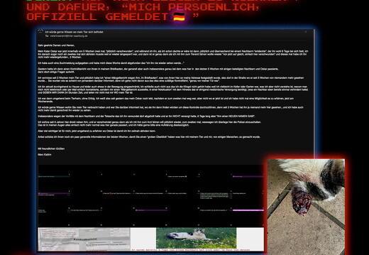 ich-wurde-gemeldet