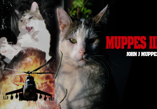 john j muppes cover