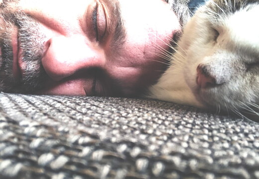 muppi-und-ich-couch