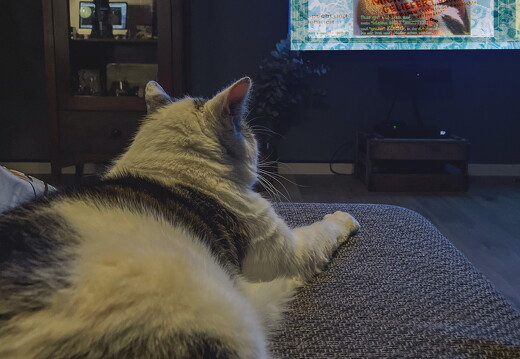 oskar-family-tv-1