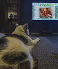 oskar-family-tv-1