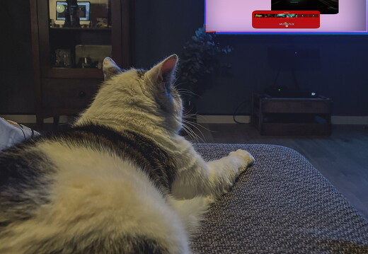 oskar-family-tv-3