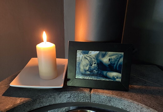 pueeppi-rip