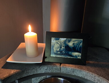 pueeppi-rip