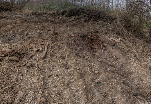 muselknipser DE-HDR-Shootings-12-047913-0040