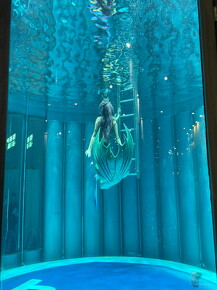 LR-Diving 0012 22-01-23 034424