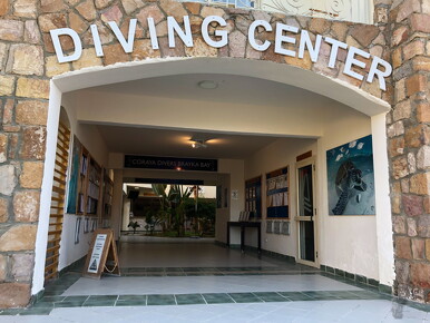 LR-Diving 1424 30-11-19 034375