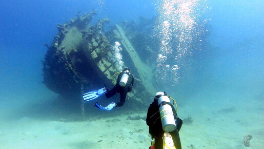 LR-Diving 1637 03-12-19 034381