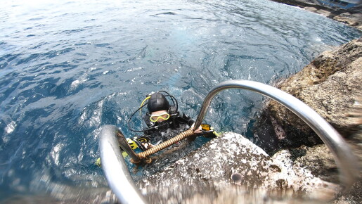 LR-Diving 2019 07-08-24 034355