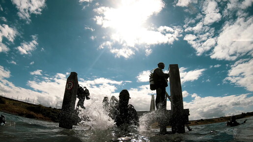 LR-Diving 2022 02-09-22 034437