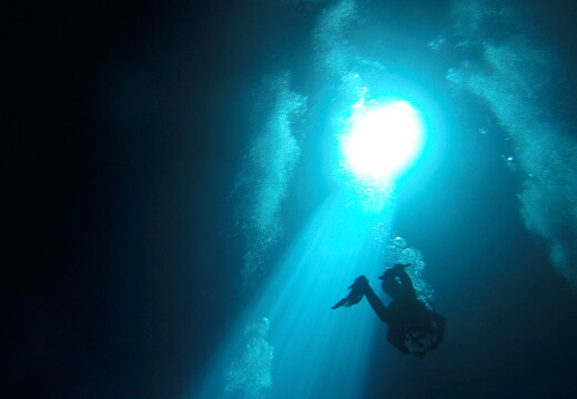 LR-Diving 3894 29-03-19 034362