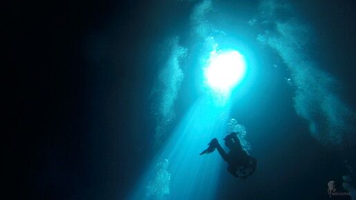 LR-Diving 3894 29-03-19 034362