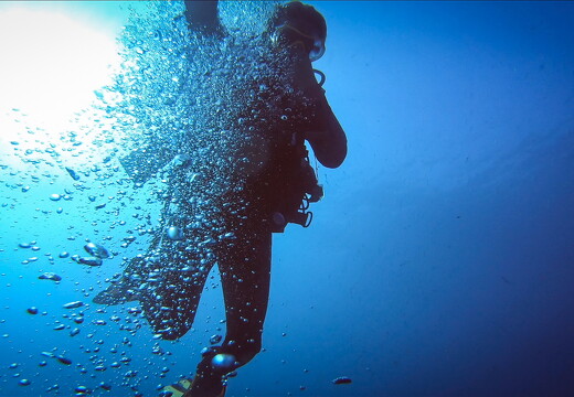 LR-Diving 4 17-08-21 034352