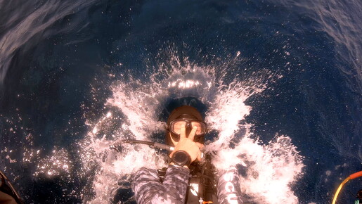 LR-Diving 6320 20-07-22 034405