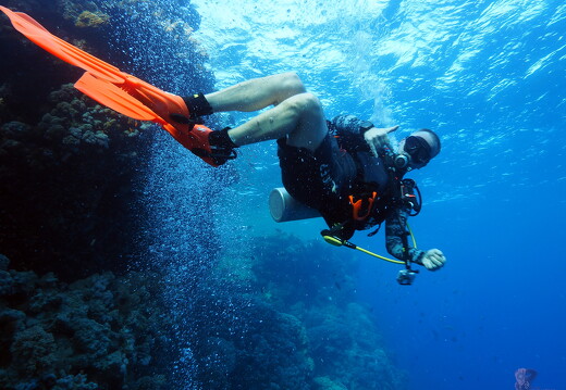 LR-Diving 7150947 15-07-22 034433