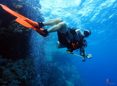 LR-Diving 7150947 15-07-22 034433