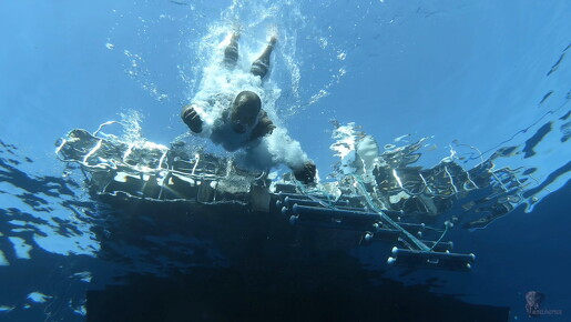 LR-Diving 8250 18-07-22 034363