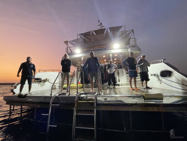 LR-Diving 9337 22-11-22 034419