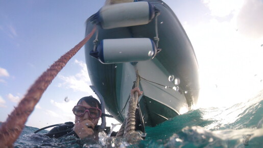 LR-Diving  05-11-18 034365