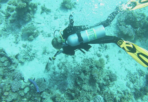 LR-TAUCHEN-00012 08032024-08-24 047440