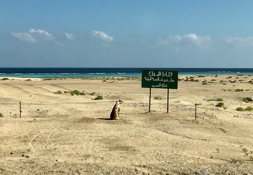 LR-TAUCHEN-1558 12022019-12-19 046321