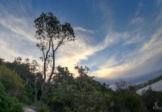 - australia 2010 - -10-5929- IMG 8759 hdr-16-1321-  101214