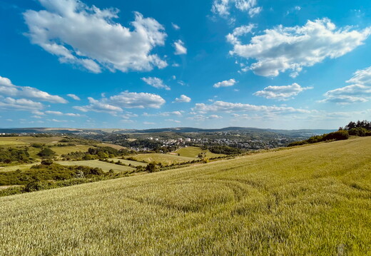 LR-Landscape 1628 03-06-23 034459