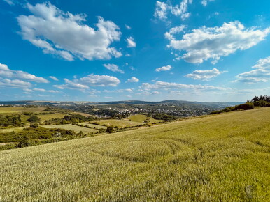 LR-Landscape 1628 03-06-23 034459