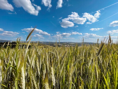 LR-Landscape 1631 03-06-23 034460