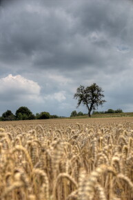 LR-SHOOTING-3317 07202011-07-11 047808