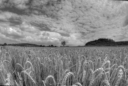 LR-SHOOTING-3347 07202011-07-11 047811