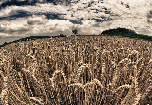 LR-SHOOTING-3365 07202011-07-11 047816