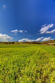 LR-SHOOTING-5644 10262011-10-11 047856
