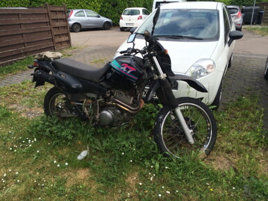 muselknipser DE-Muselrider-15-20349-0089