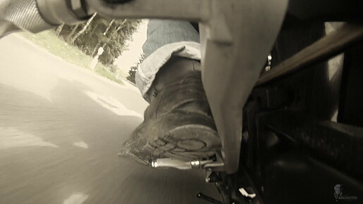muselknipser DE-Muselrider-24-03115-0003