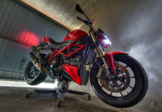 muselknipser DE-Muselrider-24-048040-0041