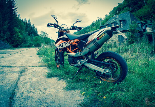 muselknipser DE-Muselrider-24-048053-0076