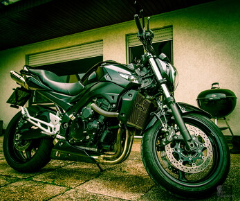 muselknipser DE-Muselrider-24-048103-0079