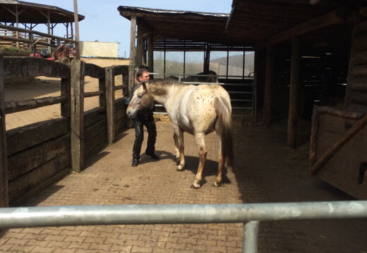 trikerausflugIMG 003647