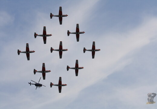 LR-ORI 9231 02-07-10 09541