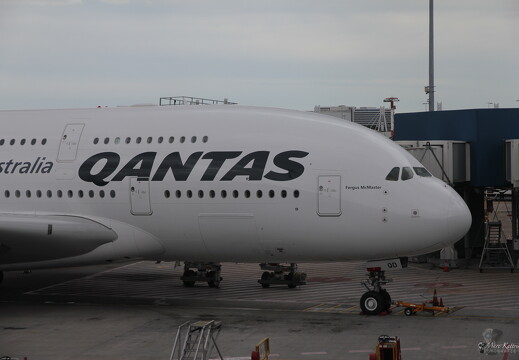 muselknipser DE-A-380-10-101218-0037