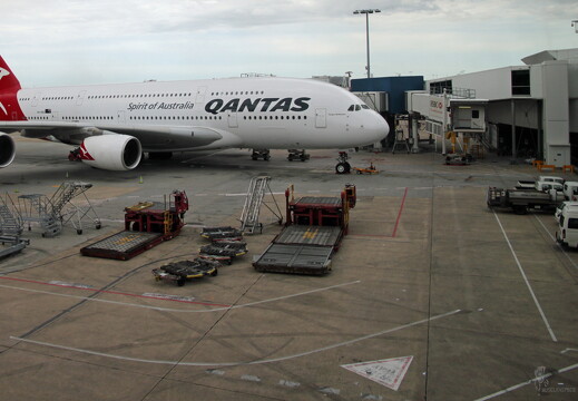 muselknipser DE-A-380-10-101218-0041