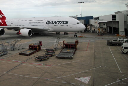 muselknipser DE-A-380-10-101218-0041