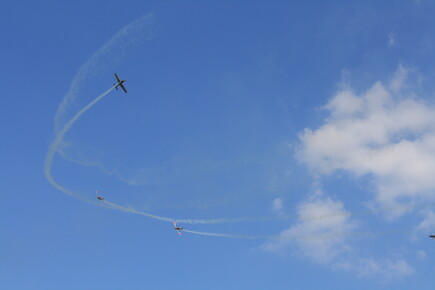 muselknipser DE-Lux-Airshow-10-100626-0029