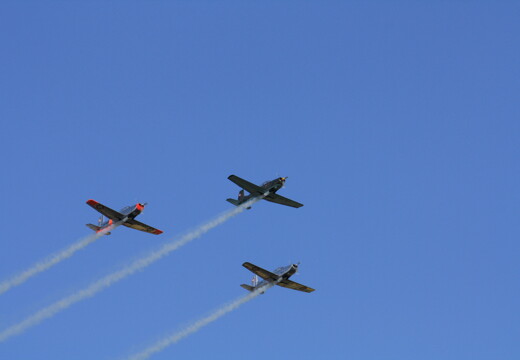 muselknipser DE-Lux-Airshow-10-100626-0034